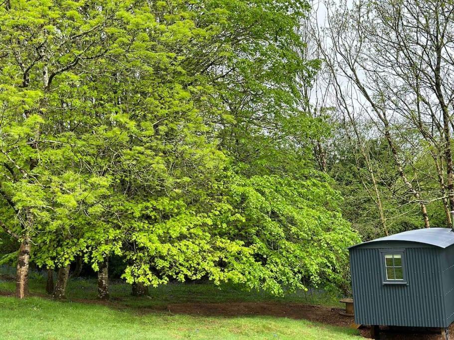 Cornwall Woodland Shepherd'S Hut Deirdres Hut Bodmin Exterior photo