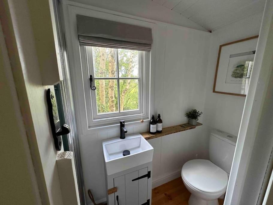 Cornwall Woodland Shepherd'S Hut Deirdres Hut Bodmin Exterior photo