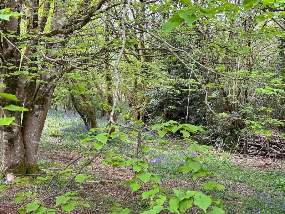 Cornwall Woodland Shepherd'S Hut Deirdres Hut Bodmin Exterior photo